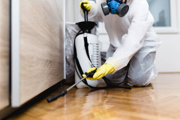 Best Insect Control  in Mason, MI