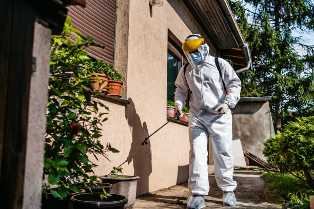 Best Bed Bug Extermination  in Mason, MI