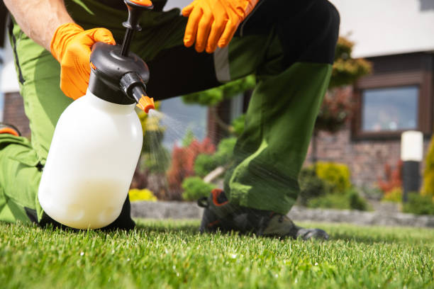 Best Affordable Pest Control Services  in Mason, MI