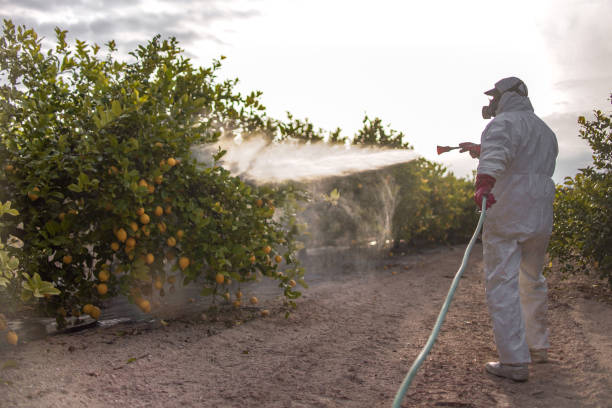 Best Bed Bug Extermination  in Mason, MI