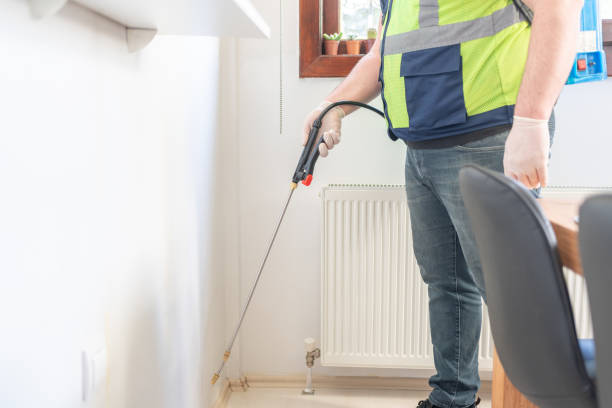 Best Ant Control Services  in Mason, MI