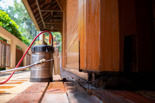 Best Pest Control for Homes  in Mason, MI