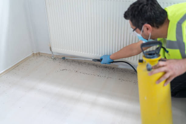 Best Wasp Removal Services  in Mason, MI